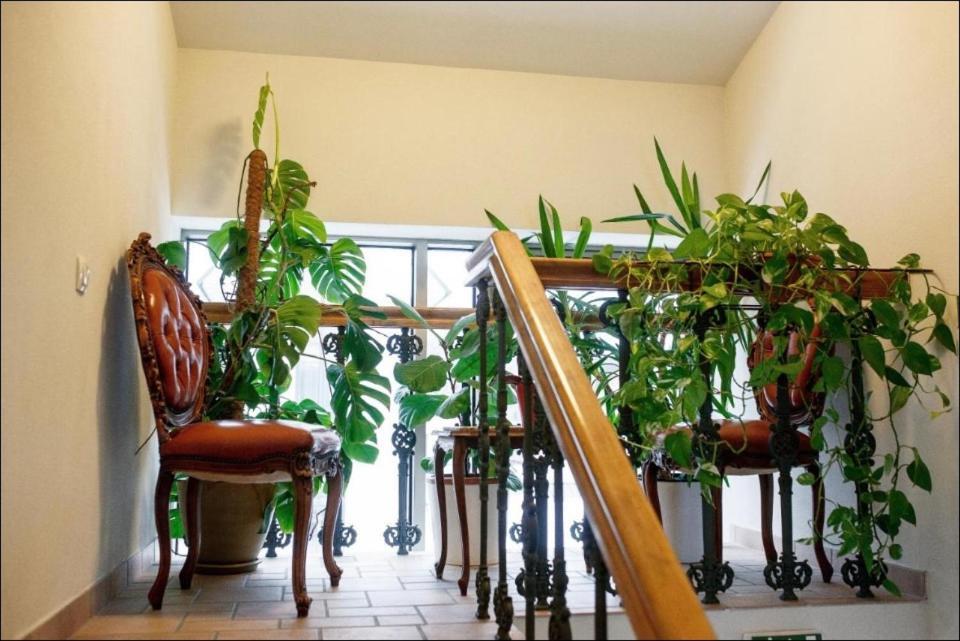 Apartment Senamiescio Inkaras Klaipėda Esterno foto